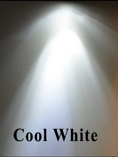 Cool White